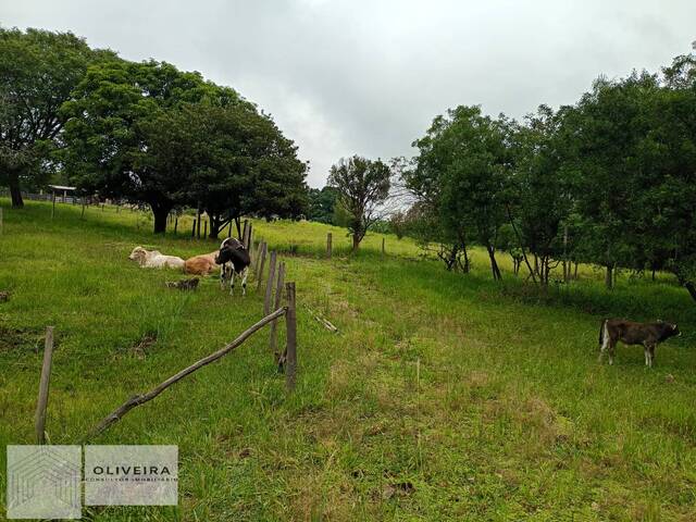 #545 - Chácara para Venda em Capela do Alto - SP