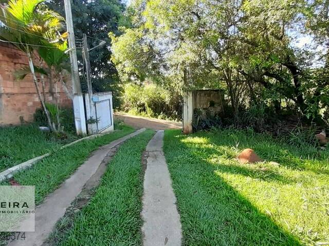 Chácara para Venda em Capela do Alto - 4