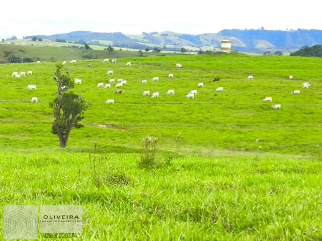 #511 - Fazenda para Venda em Itaporanga - SP