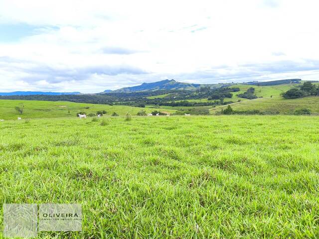Fazenda para Venda em Itaporanga - 5