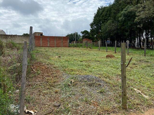 Área / lotes / Terrenos para Venda em Alambari - 4