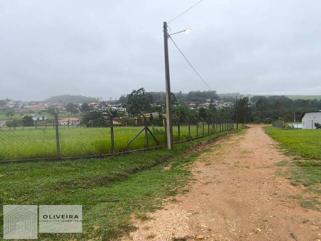 Área / lotes / Terrenos para Venda em Alambari - 5