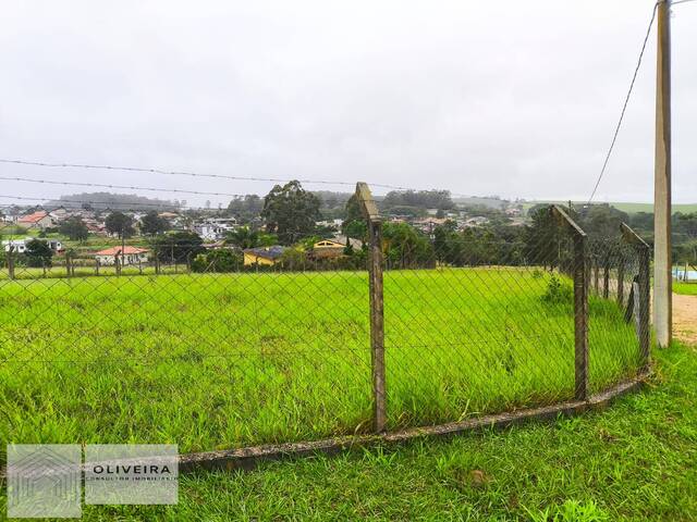 Área / lotes / Terrenos para Venda em Alambari - 4