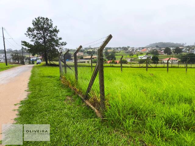 #524 - Área / lotes / Terrenos para Venda em Alambari - SP