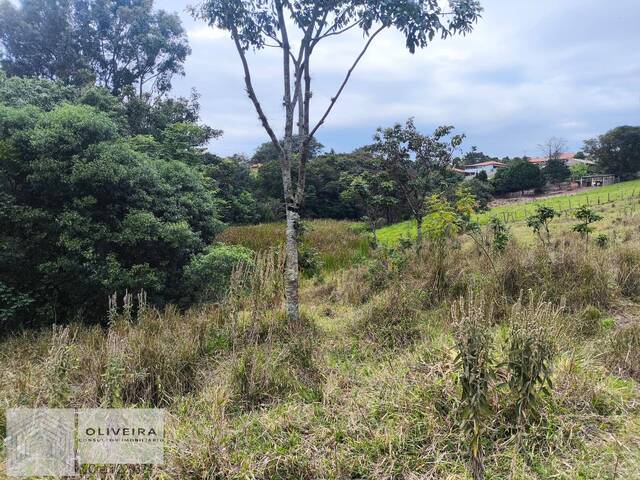 #579 - Área / lotes / Terrenos para Venda em Araçoiaba da Serra - SP