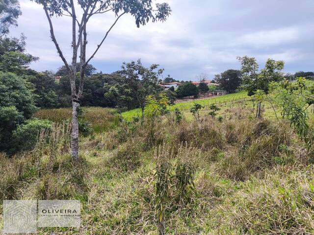 Área / lotes / Terrenos para Venda em Araçoiaba da Serra - 4