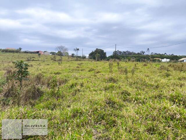 #579 - Área / lotes / Terrenos para Venda em Araçoiaba da Serra - SP