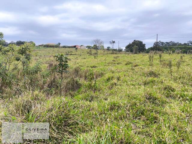 Área / lotes / Terrenos para Venda em Araçoiaba da Serra - 5