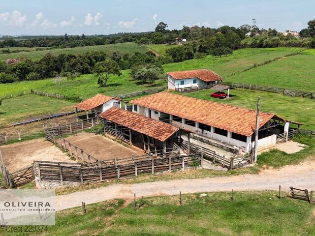 #586 - Estabelecimento para Venda em Alambari - SP